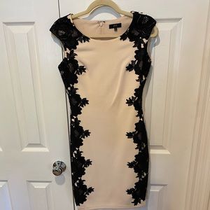 Jax Shift Dress pink with black lace detail size 2